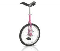 Одноколесный велосипед (уницикл) Pink Flower 20